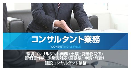 コンサルタント業務